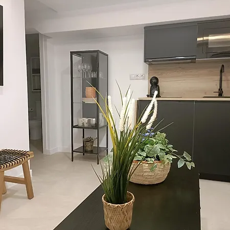 Apartment Oillan11 - 4 Málaga