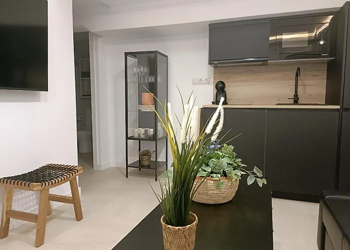 Apartment Oillan11 - 4 Málaga